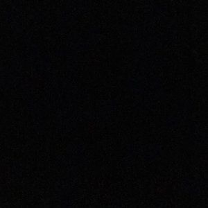 Meet your Posher, Rose